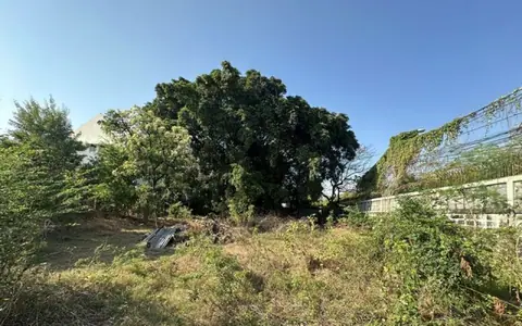 ราคาพิเศษ! ที่ดินแปลงสวยทำเลทอง ซ.ปุณณวิถี 40 ใกล้ MRT