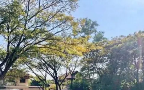 ที่ดินสวยมาก 228 ตร.ว. (แปลงโฉนด) ใกล้ รร. Unity นานาชาติ เพียง 1 กม. เขตชุมชน เงียบสงบ ร่มรื่นๆ