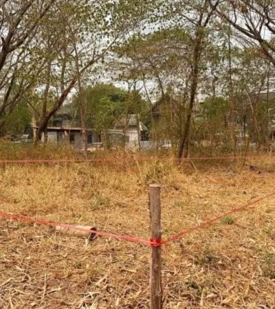 ที่ดินสวยมาก 228 ตร.ว. (แปลงโฉนด) ใกล้ รร. Unity นานาชาติ เพียง 1 กม. เขตชุมชน เงียบสงบ ร่มรื่นๆ