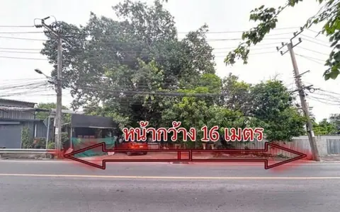 ขายบ้านพร้อมที่ดิน 176.9 ตร.ว. ใกล้ตลาดน้ำตลิ่งชัน เหมาะทำร้านอาหาร โฮมออฟฟิต