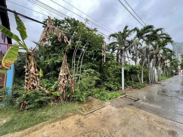 ขายที่ดินในคุ้งบางกระเจ้า ถนนเพชรหึงษ์ซอย2 เข้ัาซอยเพียง 100 เมตร แปลงนี้อยุ่ใกล้ตัวเมืองกรุงเทพฯ 0813036969