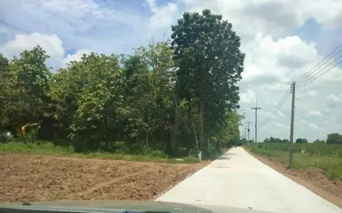 ขายที่ดิน 12 ไร่ แบ่งขายพร้อมต้นสักอายุ 15 ปี  อ.พิชัย  จ.อุตรดิตถ์