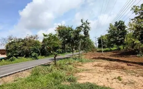 ขายที่ดิน จำนวน 11 ไร่ พร้อมต้นสักอายุ 15 ปี อ.พิชัย  จ.อุตรดิตถ์