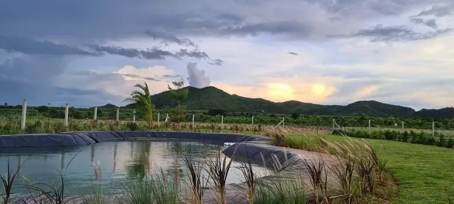ขายที่ จำนวน 1 ไร่ โฉนดครุฑแดง นส 4 จ อ.ท่าม่วง ต.หนองตากยา จ.กาญจนบุรี