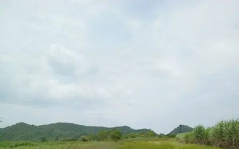 ขายที่ดินทำเลดี 5 ไร่  ตำบลธรรมเสน อำเภอโพธาราม จังหวัดราชบุรี
