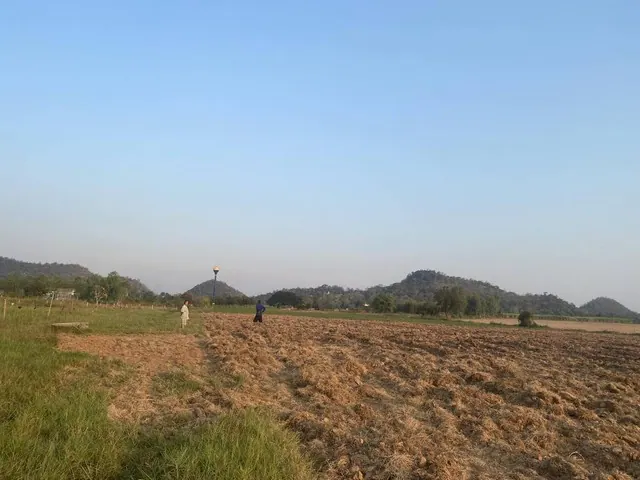 ขายที่ดินทำเลดี 5 ไร่  ตำบลธรรมเสน อำเภอโพธาราม จังหวัดราชบุรี