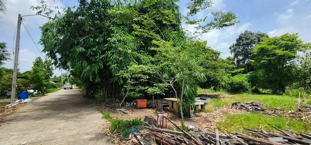 ขายที่ดินคลอง 12 หนองเสือ 217.6 ตร.ว. ราคา 1.1 ล้านบาท