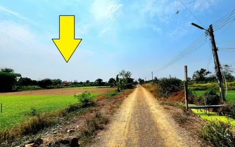 ขายที่ดินคลอง 12 หนองเสือ 240 ตร.ว. ราคา 650,000 บาท