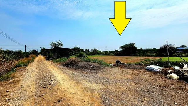 ขายที่ดินคลอง 12 หนองเสือ 240 ตร.ว. ราคา 650,000 บาท