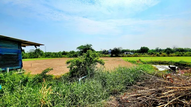 ขายที่ดินคลอง 12 หนองเสือ 240 ตร.ว. ราคา 650,000 บาท