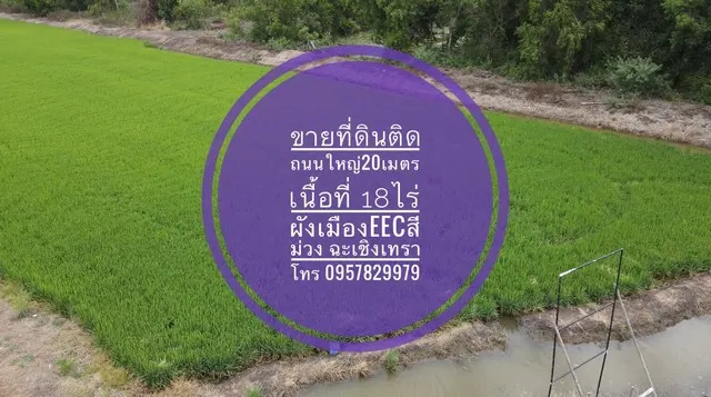 ขายที่ดิน ติดถนนใหญ่ 18 ไร่ ถ.ตลาดสดปองพล คลองเปรง สุวินทวงศ์ หลวงแพ่ง ลาดกระบัง ฉะเชิงเทรา
