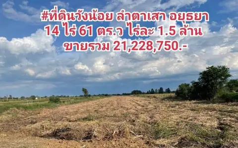 #ที่ดินวังน้อย อยุธยา (ใกล้ตลาดสี่ขวาพัฒนา)14 ไร่ 61 ตร.ว ไร่ละ 1.5 ล้าน