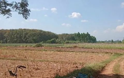 ทำเลดีงามเจ้าของเสนอเงื่อนไขพิเศษสุดๆ  ที่ติดแม่น้ำโขง ต.กุดบง อ.โพนพิสัย จ.หนองคาย  หลังติดแม่น้ำโขง ไร่ละ 2ล้านบาท โทร 096-882-1857