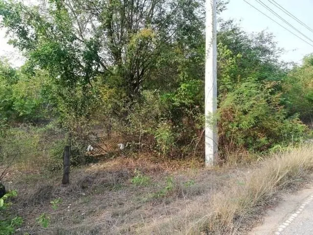 ทำเลดีงามเจ้าของเสนอเงื่อนไขพิเศษ ที่ติดทางหลวง1107 บ้านตาก จ.ตาก คมนาคมสะดวกมาก 36 ไร่เศษ อ.บ้านตาก  จ.ตาก  ติด ทล.1107 โทร 0837124115