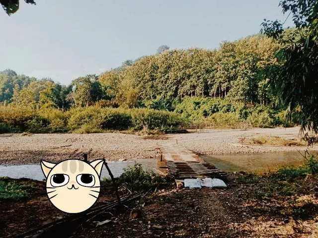 สรรหาที่แปลงสวยวิวทำเลดีขายเช่า ที่ดิน ที่ดินติดลำธารน้ำใสไหลริน ชุ่มฉ่ำตลอดปี สวยวิวล้าน 800000บาท 3-0-35ไร่ อำเภอสันติสุข น่าน