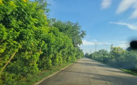 สรรหาที่แปลงสวยวิวทำเลดีขายเช่า ที่ดิน  ติดถนนคอนกรีต มหาราช อยุธยา