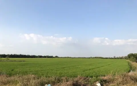ขายที่ดิน 5 ไร่ บ่อเงิน ลาดหลุมแก้ว ปทุมธานี ราคาไร่ละ 800,000 บาท