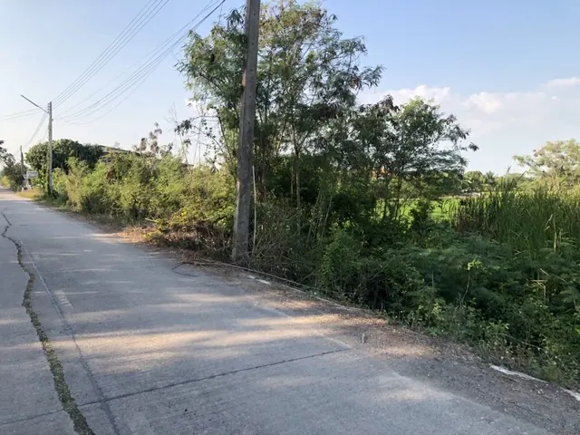 ขายที่ดิน 5 ไร่ บ่อเงิน ลาดหลุมแก้ว ปทุมธานี ราคาไร่ละ 800,000 บาท