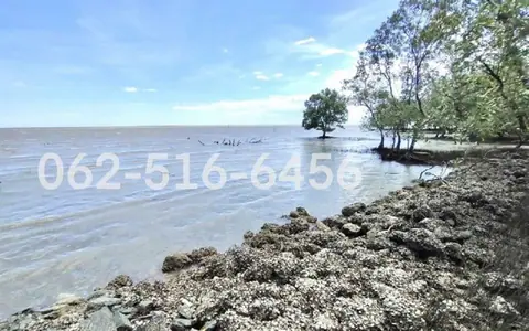 ขายที่ดินติดทะเล สมุทรสงคราม 5 ไร่ 1 งาน 64 ตร.ว. ราคา 18.394 ล้านบาท