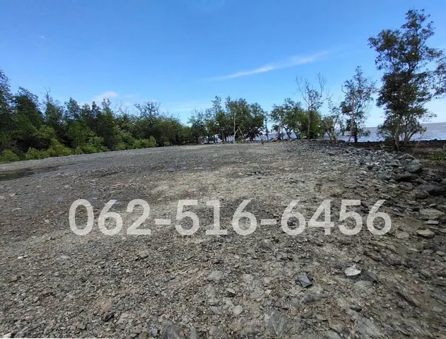 ขายที่ดินติดทะเล สมุทรสงคราม 5 ไร่ 1 งาน 64 ตร.ว. ราคา 18.394 ล้านบาท