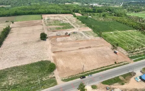 Mountain-view land plots in Nong Yai, Chonburi, from 50.8 sq.wah and THB 590,000