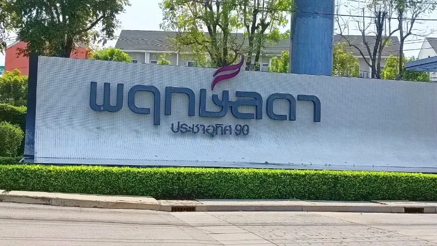 เพียง 3.9 ล้าน พฤกษ์ลดา ประชาอุทิศ 90 บ้านเดี่ยว 3 ห้องนอน ถนนประชาอุทิศ ใกล้โรงเรียนสารสาสน์วิเทศน์ประชาอุทิศ บ้านพฤกษ์ลดาประชาอุทิศ 90