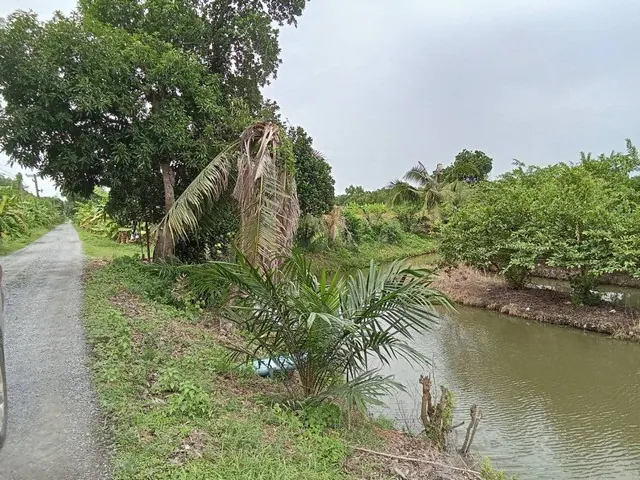 Land plots for sale in Nong Khae, Saraburi, from 4 rai and THB 1.52 million