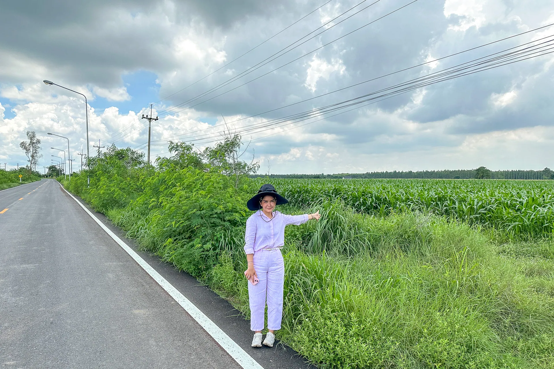 ที่ดินทำเลดี ขนาด 15 ไร่ มี 3 โฉนด ถนน 3021 ต.ศรีมหาโพธิ อ.ศรีมหาโพธิ จ.ปราจีน