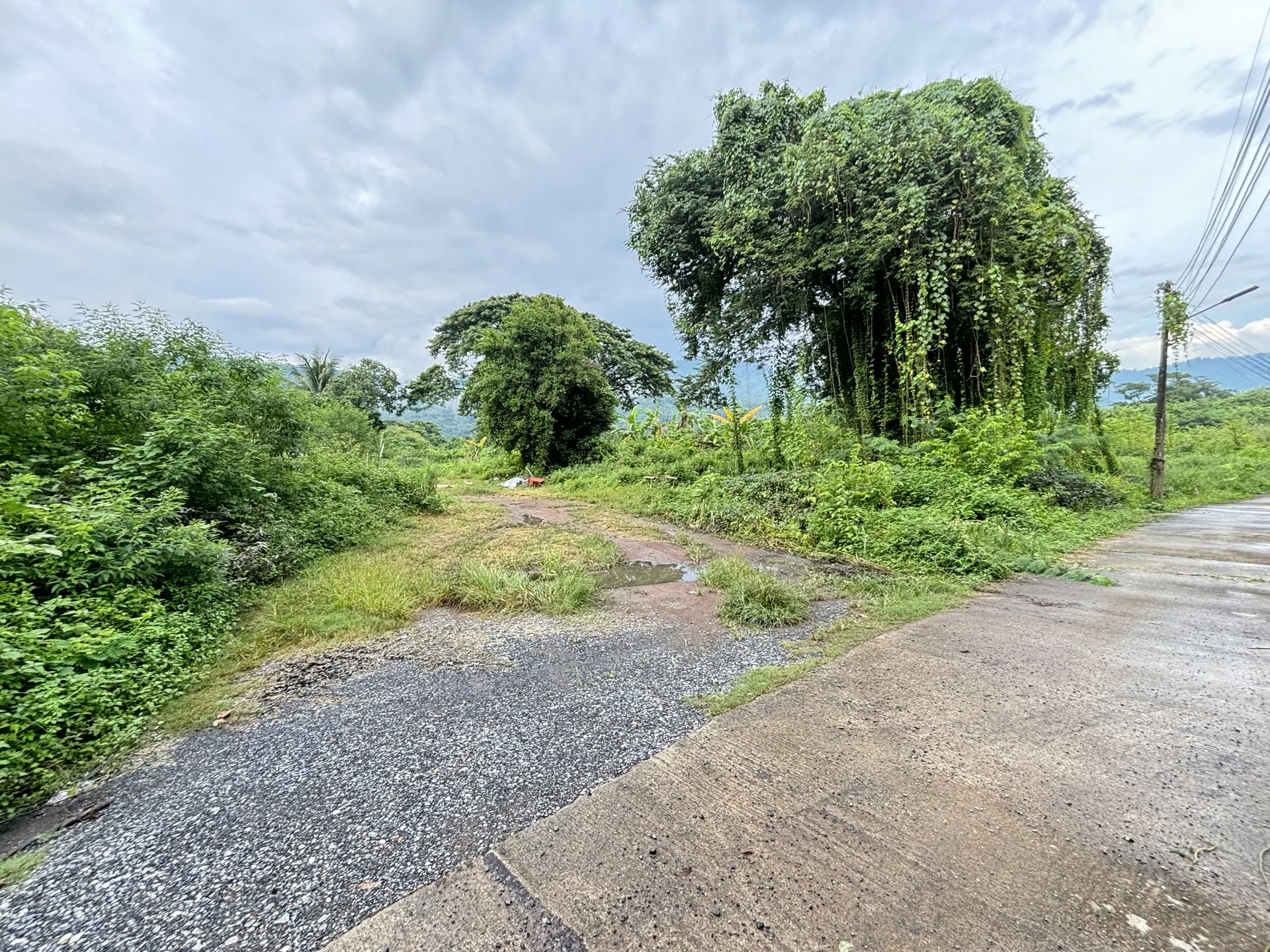 ที่ดินวิวเขา ทำเลดี ไกล้สถานที่ท่องเที่ยว บรรยากาศสดชื่น เป็นธรรมชาติสุดๆ ขนาด 6 ไร่ ต.สาริกา อ.เมือง จ.นครนายก