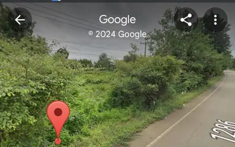 ขายที่ดิน ขนาด 21 ไร่ ทำเลสวย ติดถนน อ.ดงเจริญ จ.พิจิตร