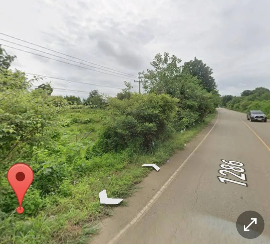 ขายที่ดิน ขนาด 21 ไร่ ทำเลสวย ติดถนน อ.ดงเจริญ จ.พิจิตร