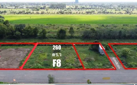 ขาย ที่ดิน 260 ตร.ว ที่ดินแบ่งขาย โครงการที่ดิน สวนมะลิเก่า คลอง 10 กม. 16 ตรงข้ามวัดเจริญบุญ ตำบลบึงสามกา อำเภอหนองเสือ จังหวัดปทุมธานี
