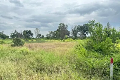 ขาย ที่ดิน 260 ตร.ว ที่ดินแบ่งขาย โครงการที่ดิน สวนมะลิเก่า คลอง 10 กม. 16 ตรงข้ามวัดเจริญบุญ ตำบลบึงสามกา อำเภอหนองเสือ จังหวัดปทุมธานี