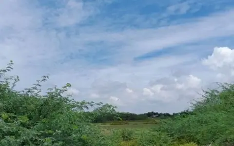 Two land plots near Hat Chao Samran for sale, divisible from 1 rai at THB 2.5 million per rai