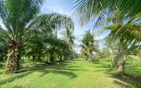 ขายที่ดินทับใต้ หัวหิน 24 ไร่ 1 งาน 73 ตร.ว. ราคา 39.092 ล้านบาท