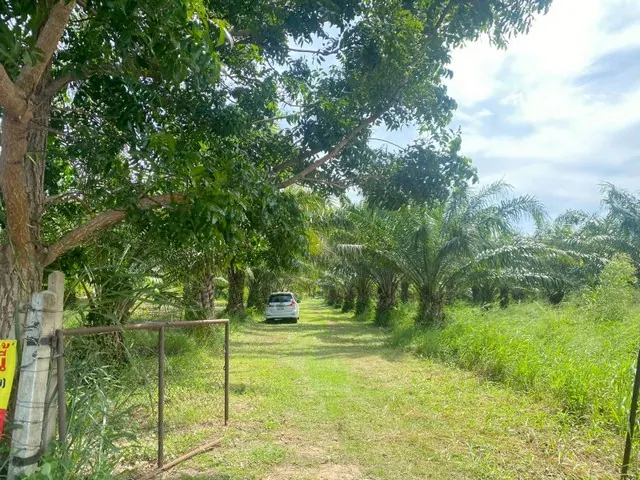 Land for sale in Thap Tai, Hua Hin, 24 rai 1 ngan 73 sq.wah, THB 39.092 million