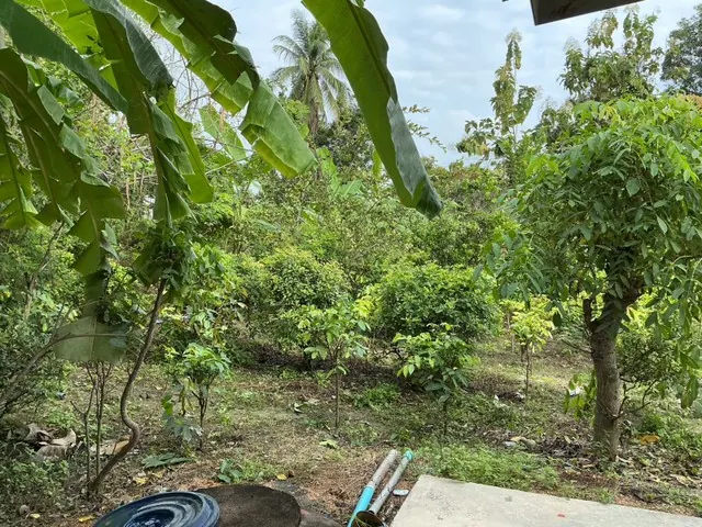 ขายที่ดินพร้อมบ้าน + สิ่งปลูกสร้าง เนื้อที่ ทั้งหมด 1ไร่ 2งาน 10.4ตรว.