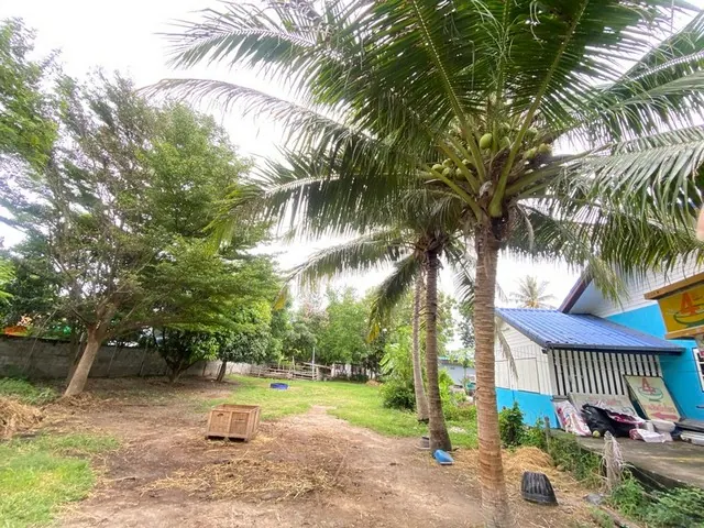 ประกาศขายที่ดิน บ้านอ่างหิน  2งาน 36.ตรว.บ้านอ่างหิน อ.ชะอำเพชรบุรี