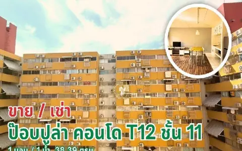 ขาย/เช่า ป๊อบปูล่า คอนโด T12 ฟรีเฟอร์ พร้อมอยู่ ชั้น 11 วิวเมือง โลเคชั่นเยี่ยม