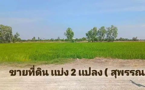 ขายที่ดิน เเบ่งเเปลงขาย ใกล้ตัวเมืองสุพรรณ น้ำไฟ พร้อม