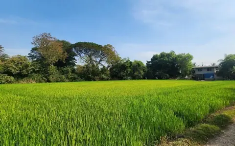 ให้เช่าที่ดิน ที่ดินติดถนนใหญ่ คลองสิบ-คลองสิบสี่ เขตหนองจอก
