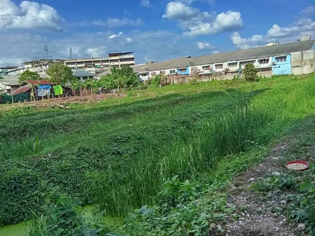 ขายที่ดิน 2 ไร่ ถนนบางกรวย-จงถนอม ใกล้เทศบาลบางกรวย
