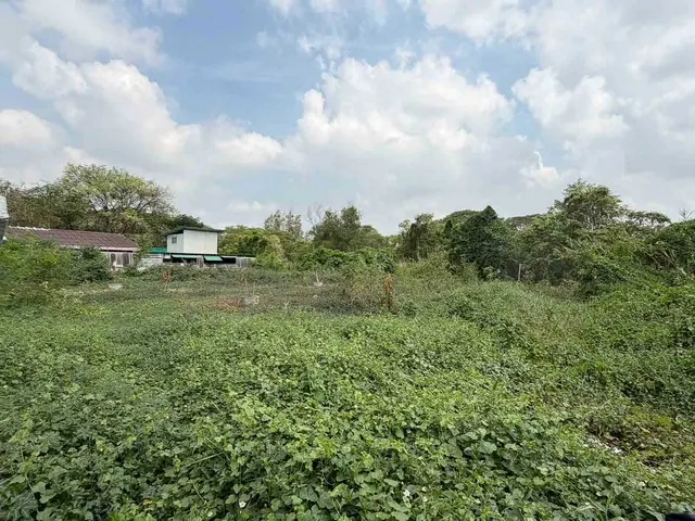 ขาย ที่ดิน หทัยราษฎร์ ซอย 23/1 เหมาะทำบ้านพักอาศัย 200 ตรว    แขวงมีนบุรี เขตมีนบุรี,กรุงเทพมหานคร