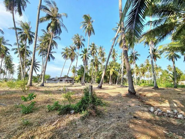 ขายที่ดินใกล้ทะเล หาดคลองวาฬ อำเภอเมืองประจวบคีรีขันธ