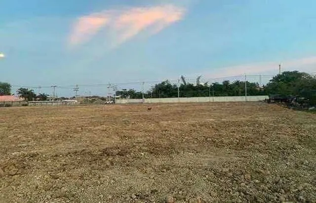 ขายที่ดิน 5 ไร่ ผังม่วงลาย โซนอุตสาหกรรมสมุทรปราการ พร้อมสร้างโรงงาน/โกดัง    ตำบลท้ายบ้าน เมืองสมุทรปราการ,สมุทรปราการ