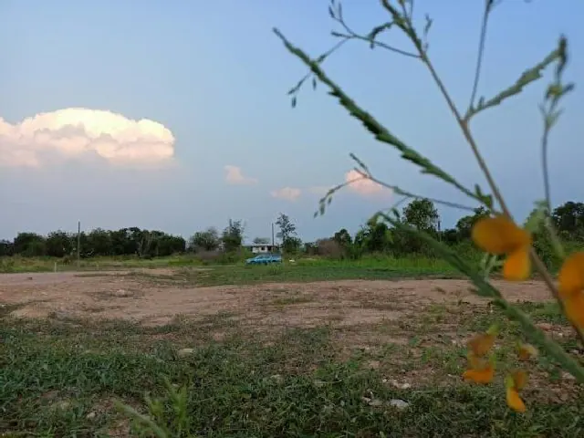 ขายที่ดิน กรุงเทพ ที่ดินโซนหนองจอก-ถมแล้ว-ลดสุดๆเจ้าของจะไปต่างประเทศ ที่ดินถม