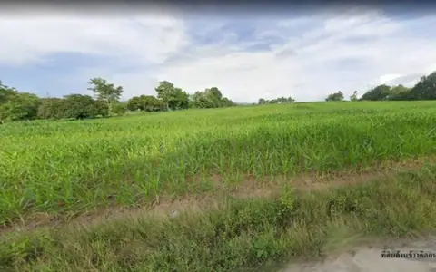 ขายที่ดิน เพชรบูรณ์ วังชมพู ที่ดินกว้างติดถนน สระบุรี-หล่มสัก เพียง 500 เมตร