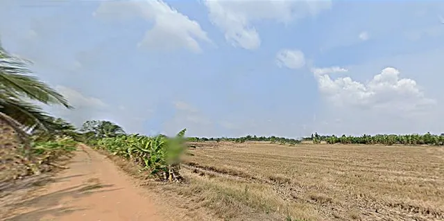 ขายที่ดินหนองจอก 5 ไร่ ลำต้อยติ่ง หน้ากว้างติดถนนถึง 175 เมตร ทรงสี่เหลี่ยมสวย เพียงตารางวาละ 6250 บาท