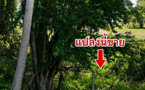 ที่ดินติดทะเลประจวบฯ บ่อนอก ติดทั้งถนนและทะเล ทำเลดี ราคาถูก