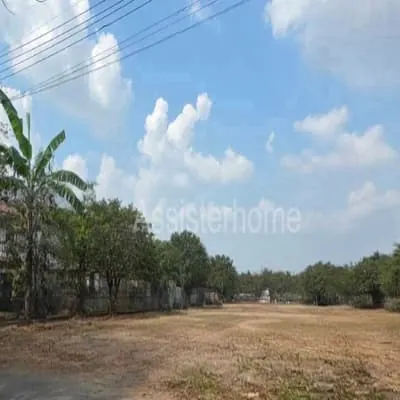 ขาย ที่ดิน 1 ไร่ สวนผัก 50 กรุงเทพ ทำเลดีมาก ปิ่นเกล้า กาญจนาภิเษก บรมราชนนี  ตลิ่งชัน  เดินทางสะดวก เหมาะกับการสร้างออฟฟิศ สร้างบ้าน